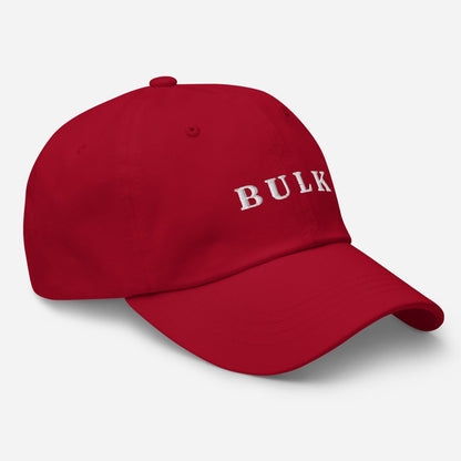 Bulk Dad Hat